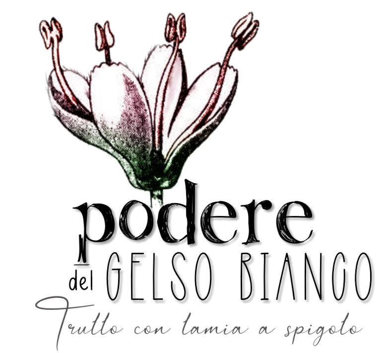 Podere Del Gelso Bianco, Vacation Rental Ostuni Extérieur photo